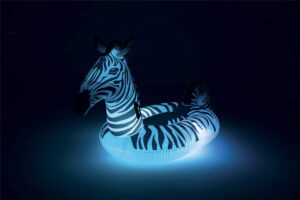 Bouée XL Zèbre Led