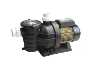 Pompe Filtration IBMP